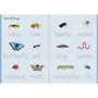 Little Wipe-Clean. Word Book Outdoors / На відкритому повітрі: Количество страниц 20