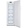 Морозильная камера Gorenje FN4171CW: Исполнение отдельностоящая