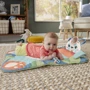 Коврик-игровой центр Fisher-Price Панда (HKD65) фото 3