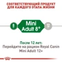 Сухой корм для собак Royal Canin Mini Adult 8+ малых пород старше 8 лет 800 г (30020089): Возраст Взрослые