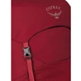 Рюкзак Рюкзак Osprey Jet 18 Cosmic Red красный (009.2136): Производитель Osprey