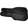 Чехол ROCKBAG RB20515 B/PLUS Student Plus - Bass: Тип Чехлы