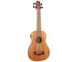 Укулеле FZONE FZUB-004 Bass Ukulele