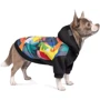 Толстовка Pet Fashion The Coolest M (4823082420353)