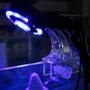 Охолоджувач Amtra Borea Cooling Fan 80 LED акваріум до 80 л (A6076383) фото 3
