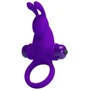 Кольцо эрекционное серии Pretty LoveVibrant penis ring I, BI-210204-1