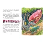 Александра Калинина: Волшебная сова и Ко. Книга 4. Паутина чудес: Обложка Твердая