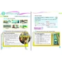 Grammar Goals 4: Pupil's Book with Grammar Workout CD-ROM: Обложка Мягкая