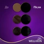 WELLATON Краска для волос 2/0 Черный 110 ml: Объем, мл 110