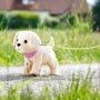 Інтерактивний вихованець Baby born - Мій щасливий песик (835197): Тип животное