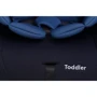 Автокресло Biene Toddler Blue: Группа 1/2/3 (9-36 кг)