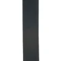 Гитарный ремень D'addario 25BL00 Basic Leather Guitar Strap (Black): Тип Ремни