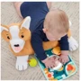 Розвиваючий ігровий набір Fisher-Price Цуценя (HJW10): Вік Менее 1 года