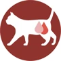 Влажный корм Purina ONE Sterilcat для стерилизованных кошекс индейкой и зеленой фасолью 24х85 г (12455698): Порода Все породы