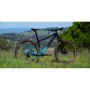 Велосипед Marin 2025 Bobcat Trail 5 27.5" чёрный/голубой M (SKD-09-17): Размер рамы M