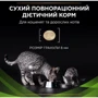 Сухий корм для котів Pro Plan Veterinary Diets HA Харчові алергії 325 г (7613035154438/7613287597526): Клас супер преміум