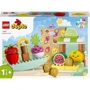 Конструктор LEGO DUPLO My First Органический рынок 40 деталей (10983)