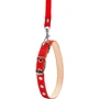 Ошейник с поводком Collar капроновый 14 мм 25-33 см красный (05483): Производитель Collar