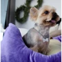Лежак Luсky Pet Рольф №3 для собак фиолетово-кремовый 60х80х24 см (218441): Размеры 60х80х24 см