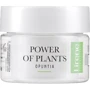 Lirene Power Of Plants Opuncja Smoothing Cream Розгладжуючий крем для обличчя 50 ml: Час застосування Универсальный