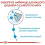 Сухой корм для щенков Royal Canin Puppy Mini мелких пород 8 кг (30000801): Тип Сухой корм