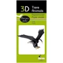 Орел Eagle Fridolin 3D модель
