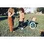 Комплект трехколесный беговел Trybike синий (TBS-2-BLU-VIN+TBS-100-TKV): Производитель Trybike