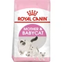 Сухой корм Royal Canin Mother & Babycat для новорожденных котят и кошек во время беременности 10 кг (2571100)