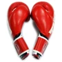 Перчатки боксерские THOR SHARK 16oz /Кожа /красные фото 3