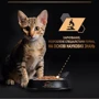 Влажный корм Purina Pro Plan Kitten Healthy Start для котят с индейкой. Кусочки в соусе 10x85 г (7613034767646): Основные ингредиенты Индейка