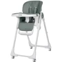 Стульчик для кормления Carrello Select CRL-16301 Forest Green