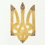 М. С. Грушевський: Ілюстрована історія України (в коробці) фото 9