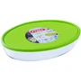 Pyrex (346P002)
