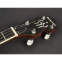Банджо Richwood RMB-604-SS