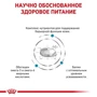 Сухой корм для собак Royal Canin Skin Care Dog при дерматозах 2 кг (40130201): Класс Супер премиум