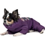 Комбінезон для собак Pet Fashion LOLA XS-2 (4823082432424): Розмір XS-2