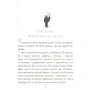 Рене Ґоссінні: Розваги Малого Ніколя. Книжка 2: Обложка Твердая