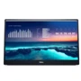 Монитор Dell C1422H (210-AZZZ)