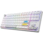 Клавіатура Hator Rockfall 2 Mecha TKL Authentic Edition Aurum Milky Way Silent USB White (HTK-531): Підключення проводное