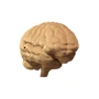 Картонний конструктор Cartonic 3D Puzzle BRAIN фото 6