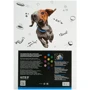 Картон Kite Dogs цветной двусторонний А4 10 листов (K22-255-1) фото 3