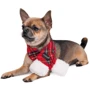 Шарф Pet Fashion "Happy" M-XL (4823082423576): Размер животного Большие