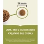 Сухий корм для собак Acana Wild Coast Recipe 9.7 кг (a56212): Властивості Підтримка фізичної форми, Зміцнення імунної системи, Основне харчування, Турбота про травленні