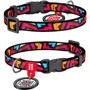 Нашийник WAUDOG Nylon з QR-паспортом, малюнок "Графіті", пластиковий фастекс 10 мм 20-30 см різнокольоровий (5232)
