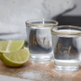 Набор стаканов для шотов Creative Tops 2х60 мл (5213694): Объем стакана мл 60