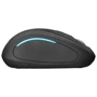 Мышь Trust Yvi FX wireless mouse black (22333): Тип сенсора оптический