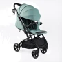 Детская прогулочная коляска Joy Elegans (A-40481)