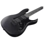 Электрогитара IBANEZ GRGR131EX-BKF: Тип Электрогитара