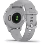 Смарт-годинник Garmin Venu 2S Silver Stainless Steel Bezel with Mist Gray Case and Silicone Band (010-02429-02): Колір ремінця сірий
