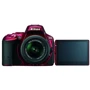 Nikon D5500 Kit (18-55mm) VR II Red Официальная гарантия: Запись видео 1920x1080